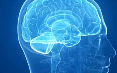 Audición y cognición: qué dice la evidencia sobre oír bien y la salud cerebral