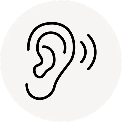 icon adaptacion